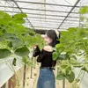 hds_0101