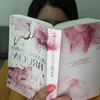 rosacammisa_