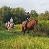 Cedar Creek Ranch