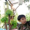 aldy.prasetyo45