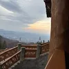 roxy_2334
