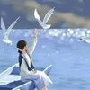 sahar.abed8