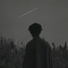 t.an0209