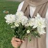 dutlidut_