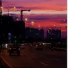 phuquang1991