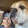 KuhlKountry American Bulldogs