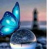 .malak686
