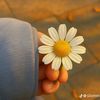 usman12aftab