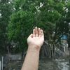 mdabdussubhan217