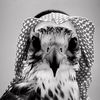 دحوم