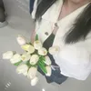 thiennguyt