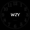 Wzy.store