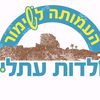 nogailiaevbasson