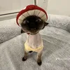 _immomdi_01