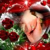 user426946126758
