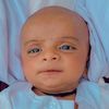 tanveerahmed5076