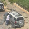 al313masry
