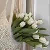_booklover_z