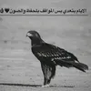 userk2qr9i6y2b