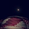 assaf._.501