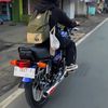 aditiyaprasetya16