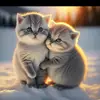 mahwish769