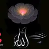 user2ssvfn7g9h