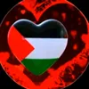user3711166861393