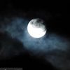 moondancer_1111