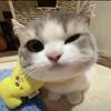 meiiissyaa