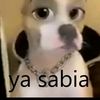 serna_.123