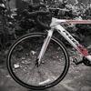 roadbike_pellzz