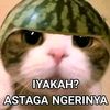 dalll_06