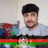 semihullahmuradi8