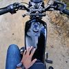 enal24434