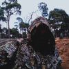 glenn.s..glashowe