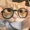 ntp_guide