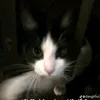 zrinww
