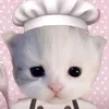 hanggngocctrucc