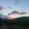 ailevaitigr6