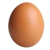 egggg037