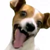 emilliacacho