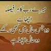 shah.7861865