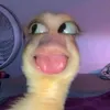 hoangyen_101