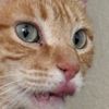 paort_