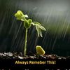 annesther11
