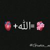 user8271300046277
