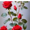 yhya4229