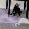 0the_random_tiktoker0