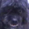 mgnlirqc